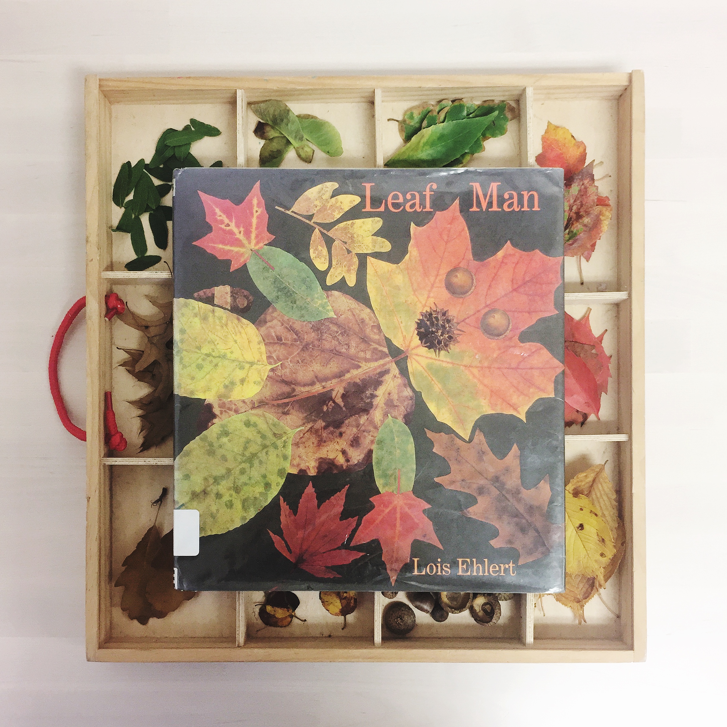 Leaf Man Loose Parts Invitation