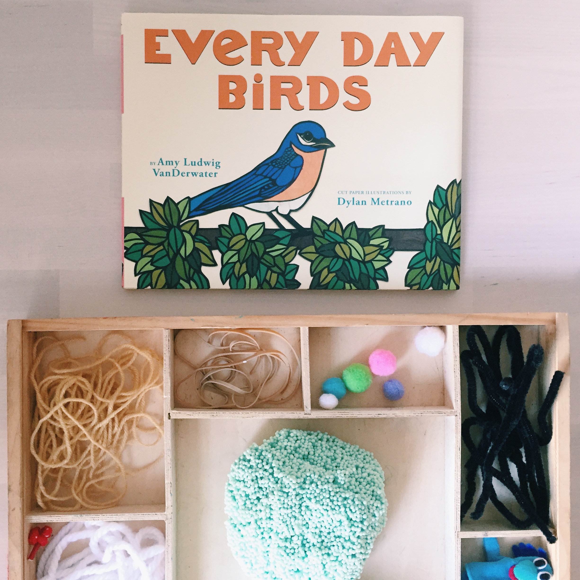 Birds Story Time and Loose Parts Nest Invitation