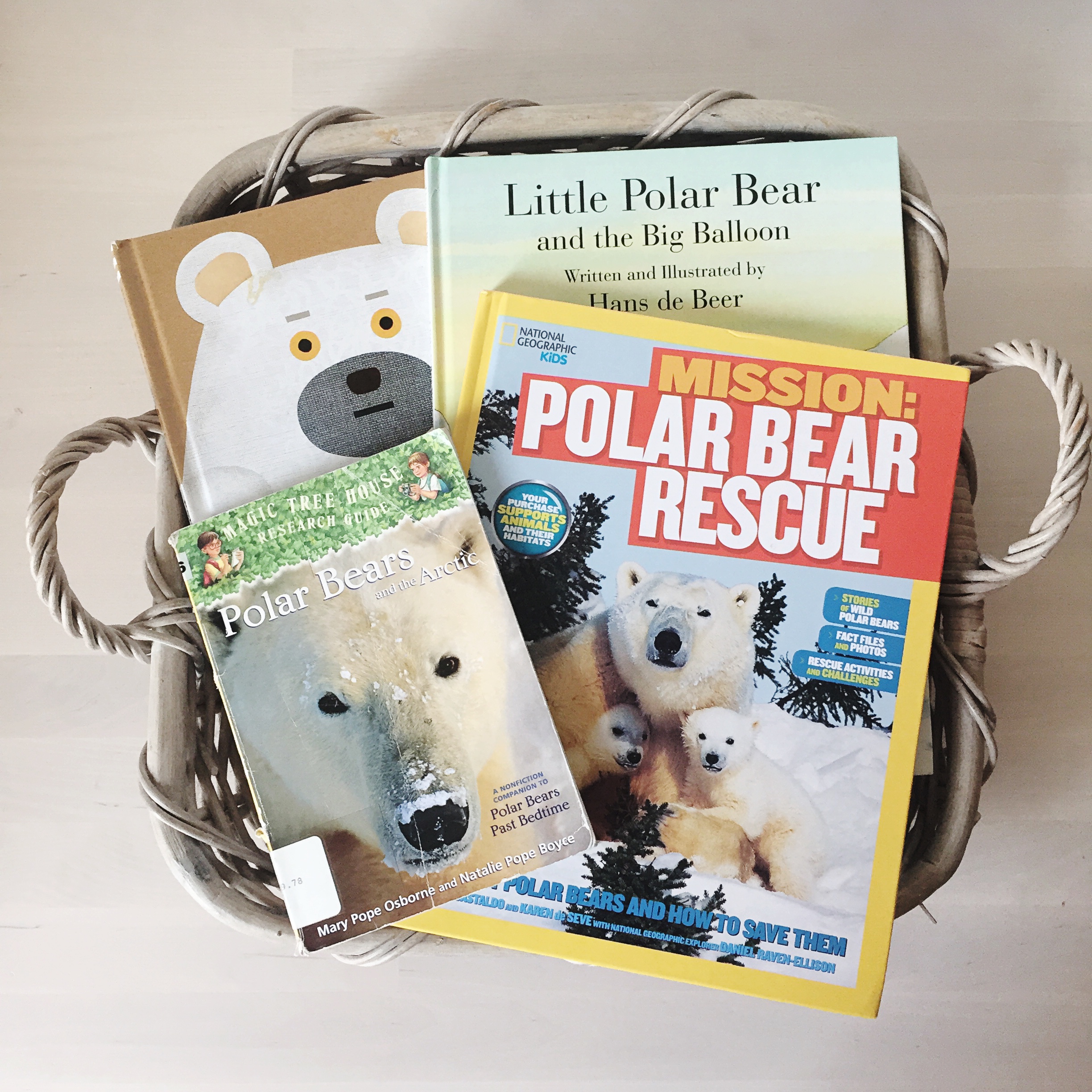 Polar Bear Story Time and Book List for Kids