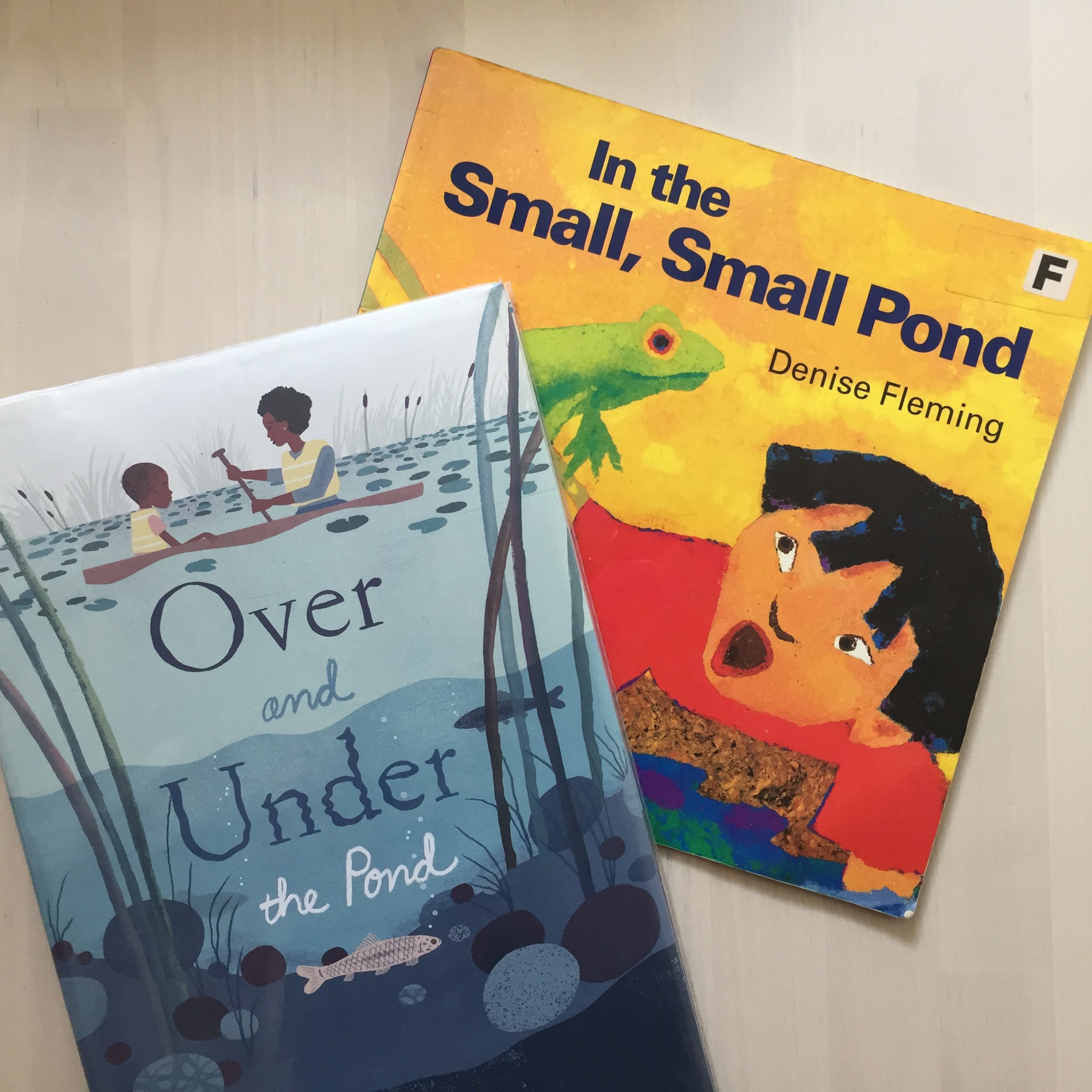 in the small pond storytime