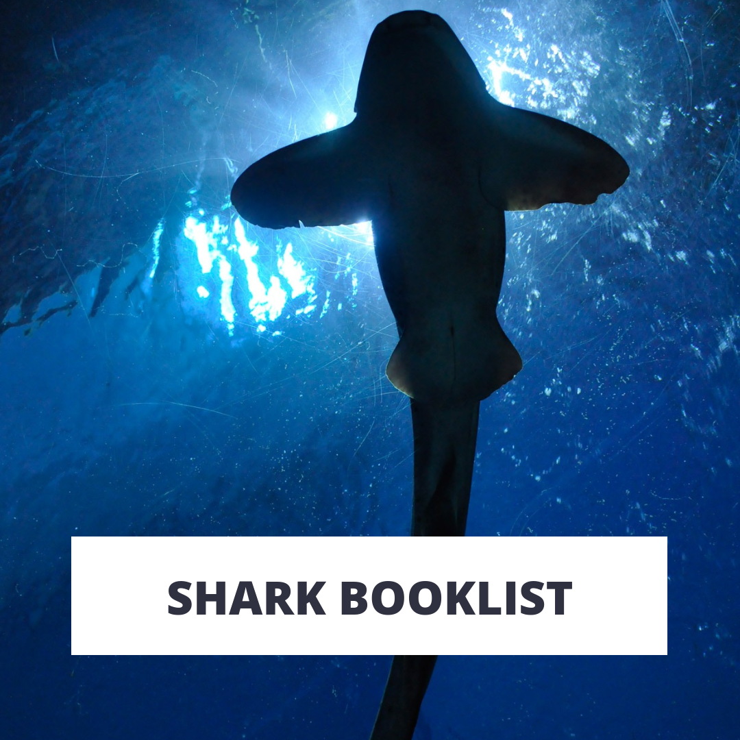 20+ Awesome Children’s Books for Shark Week